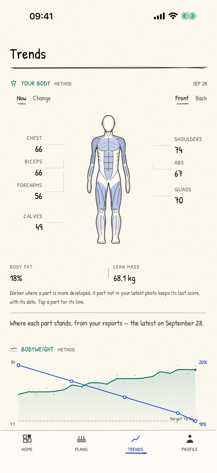 Trends: a drawn figure of the body with each muscle group's score, body fat and lean mass, and the projection for the months ahead.